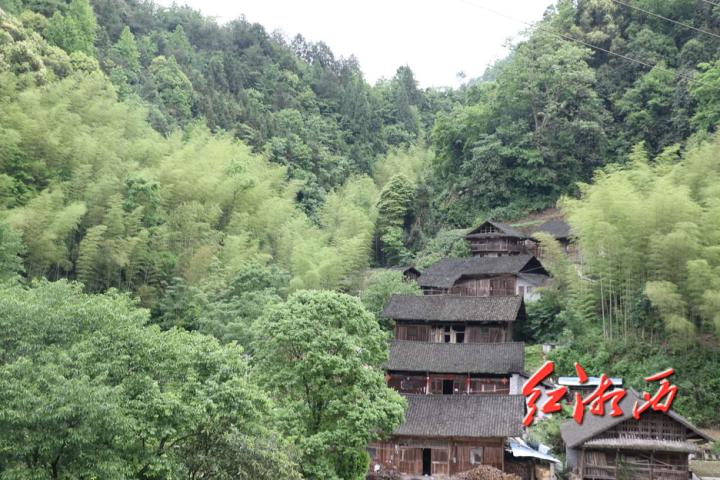 龙珠足球直播在线观看，自然美景背后的旅行启示与启示之旅