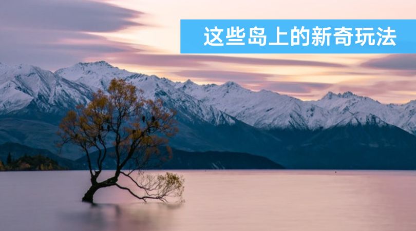 TV直播之旅，探寻自然美景，寻觅内心平静