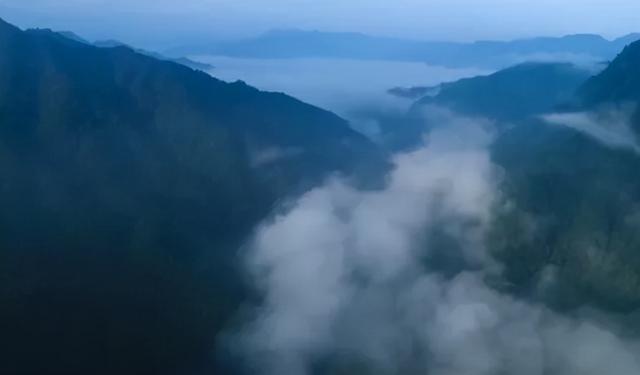 张大仙直播，探寻自然美景，寻觅内心平和之旅