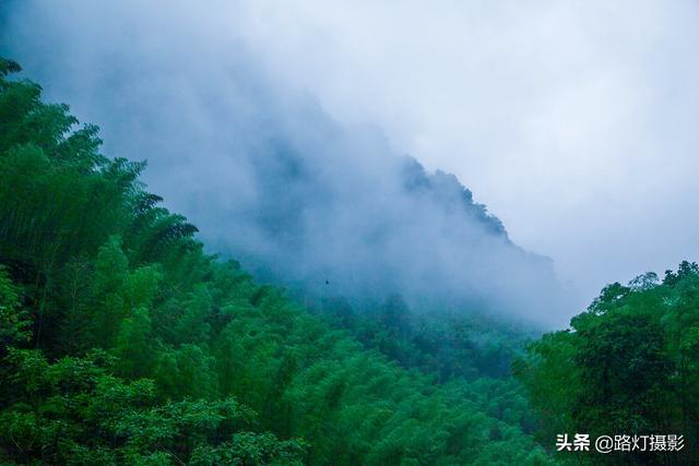 姿态直播，直播时代的一道独特风景