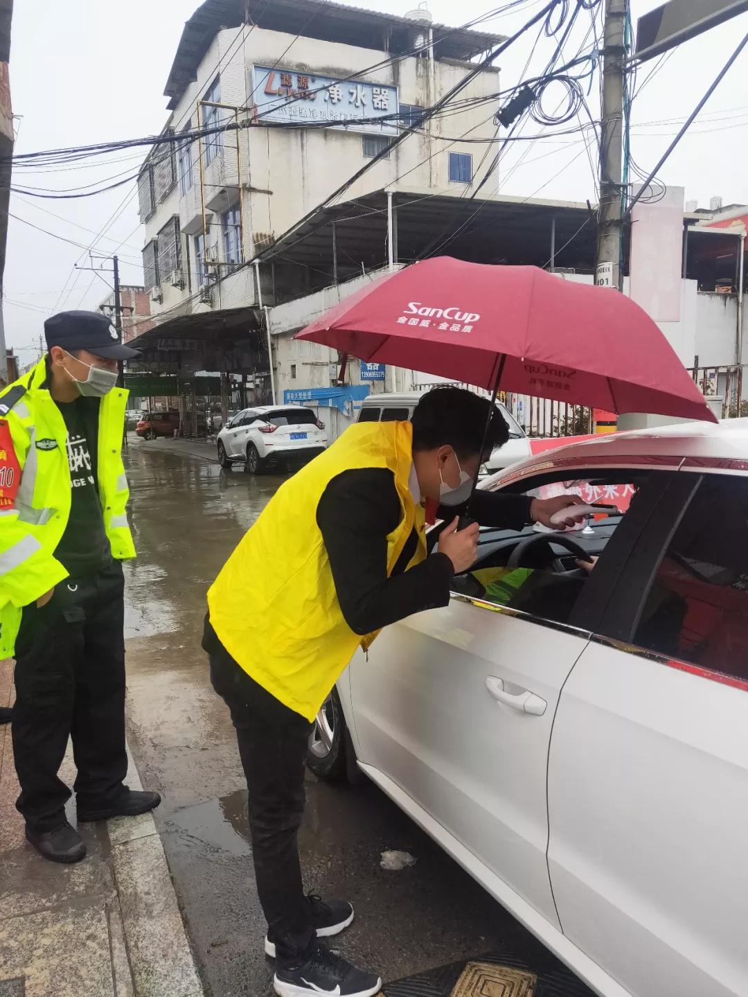 疫情最新动态下的自然美景探索之旅，重拾内心宁静与平和