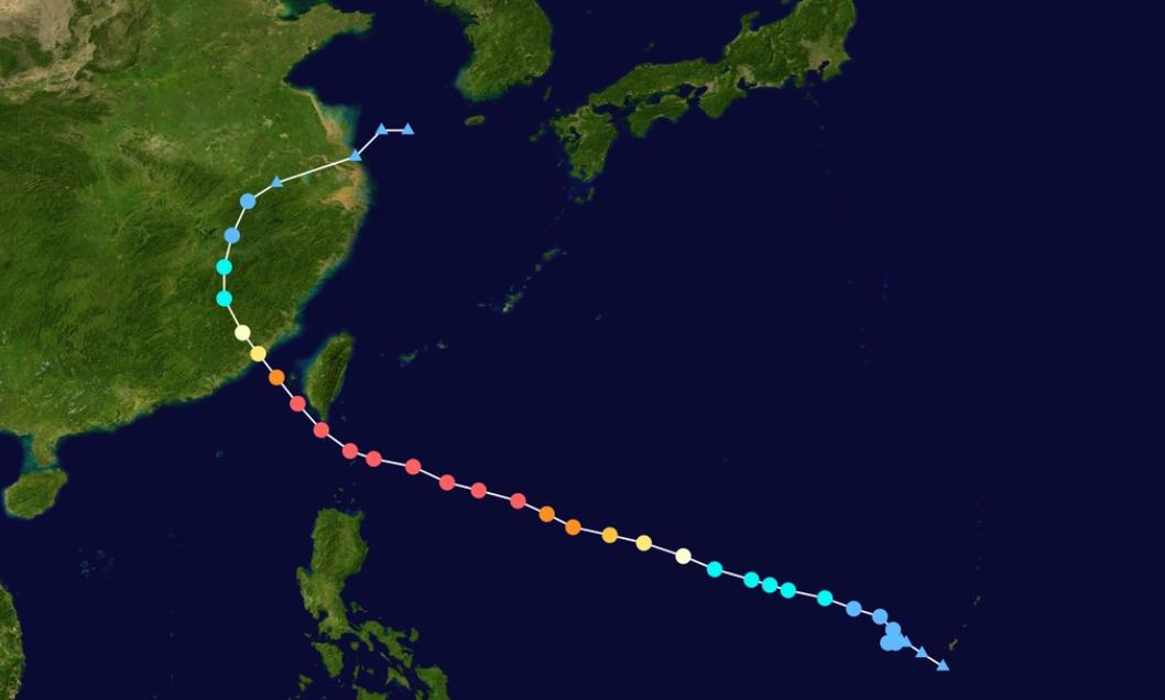 最新台风路径分析，多方观点与个人立场探讨