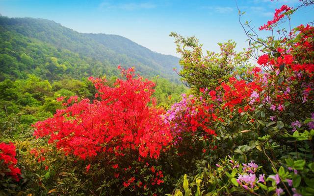 京东方A最新动态，探索自然美景之旅，寻求内心平和与宁静的旅程