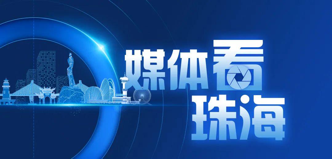 最新视频聚焦热点，多元观点交织的探讨