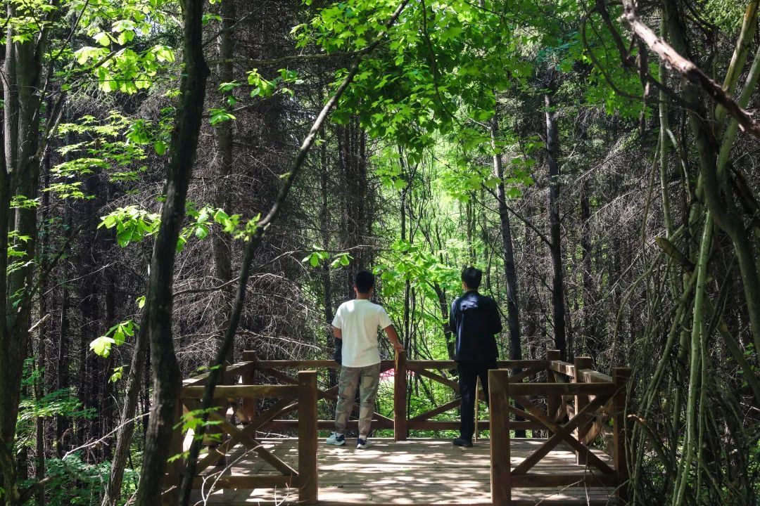 探索内心平静的旅程与大自然最新秘境，Sex8最新地址揭秘