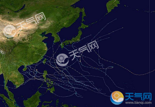 台风最新路径更新，今日台风动态报告