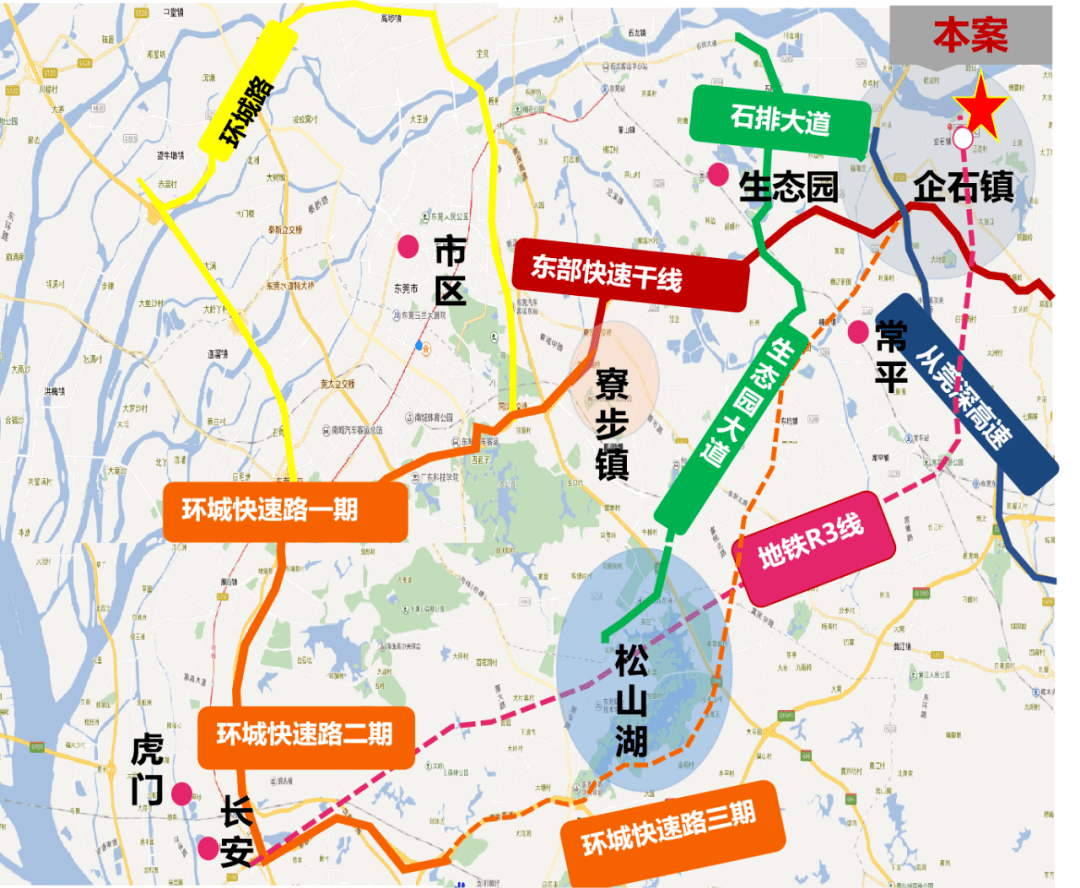 最新猪价行情详解与指南