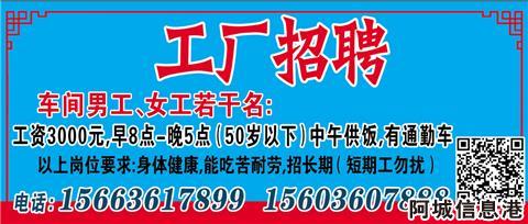 阿城信息港最新招聘信息汇总