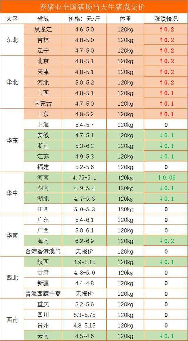 生猪价格最新走势与全面步骤指南，今日猪价概览