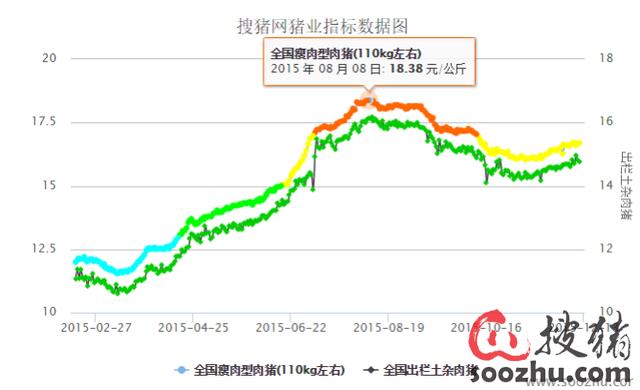 今日猪肉价格走势分析，最新价格及市场趋势预测