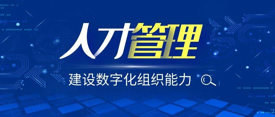 织里人才市场最新招聘信息深度解读与多元视角洞察