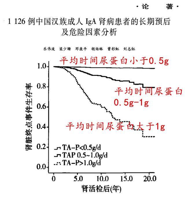 人工肾脏最新研究成果及其探索自然美景的奇妙之旅意义探索