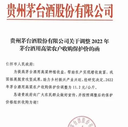 追逐梦想的启航之旅，探究集团公司最新成立条件与要求