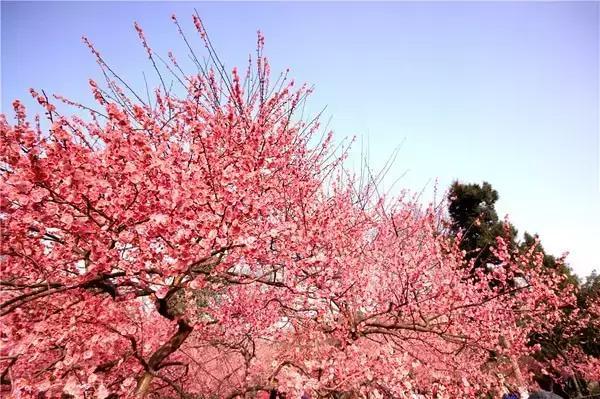 常州最新全图地图，自然美景轻松探索之旅