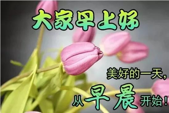 吱吱最新小说，温馨日常之快乐时光