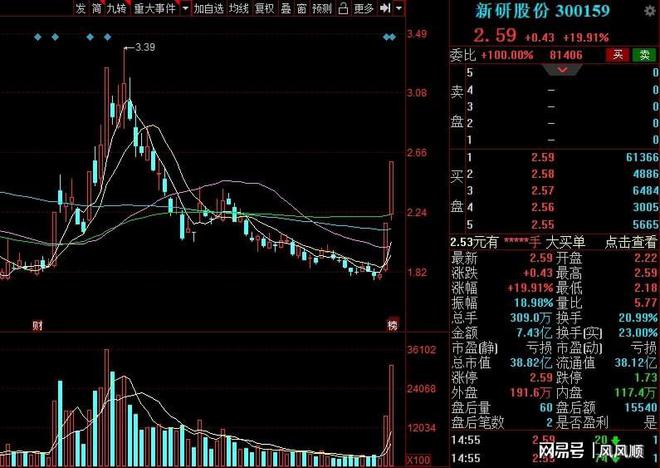 新研股份最新动态解读与获取指南，初学者与进阶用户必备参考