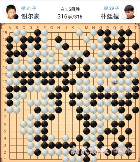 农心杯最新战况，世界围棋巅峰对决激烈进行中！