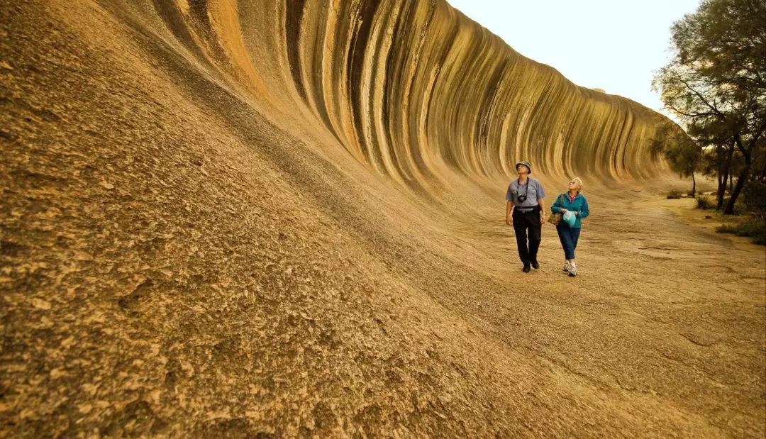 电解锰最新价格行情与探索自然美景的旅行体验