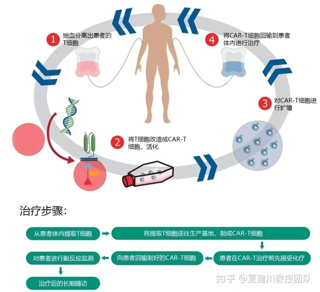 最新CART免疫治疗临床招募火热进行中！