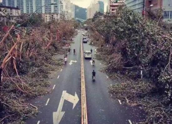 台风福建最新消息，科技智能守护家园前沿动态