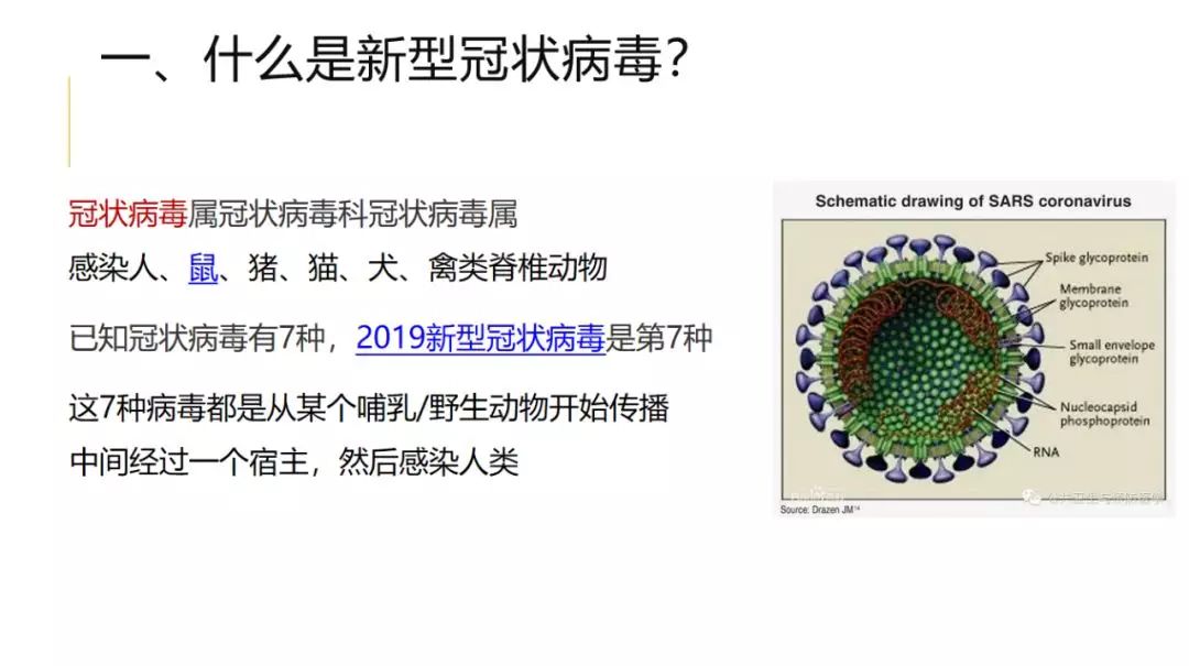 新官型病毒最新感染，观点论述与解析