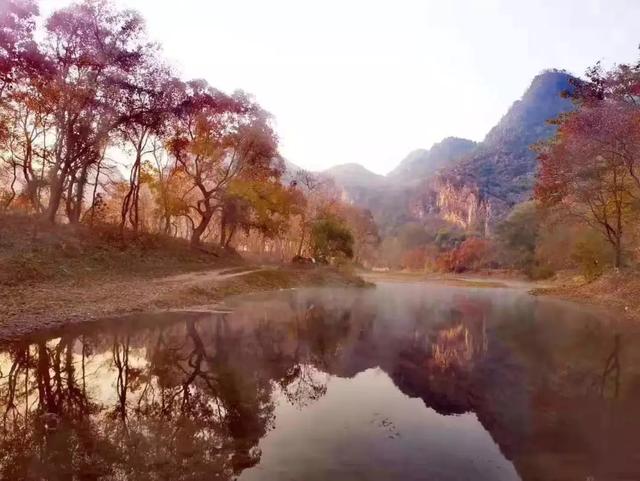 偷孩子视频曝光背后的自然美景探寻启示，浮生半日闲的新启示