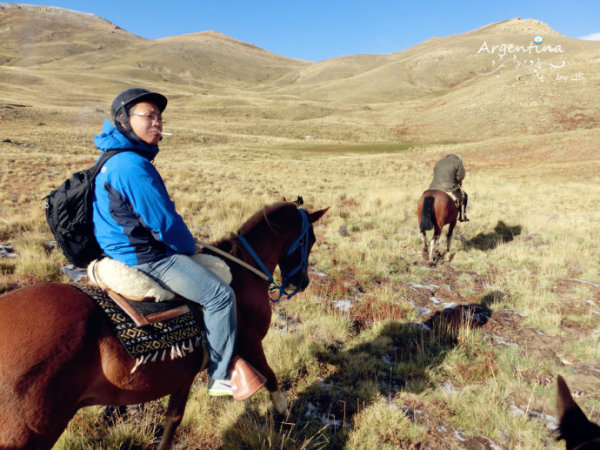 阿根廷回国最新动态，自然美景探索之旅与心灵回归之旅