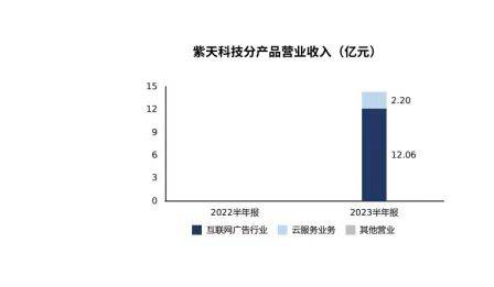 紫天科技揭秘，小巷中的隐藏宝藏，魅力特色小店最新资讯