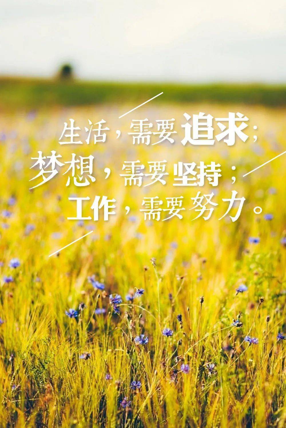 晨曦中的新篇章，最新早安朋友圈动态