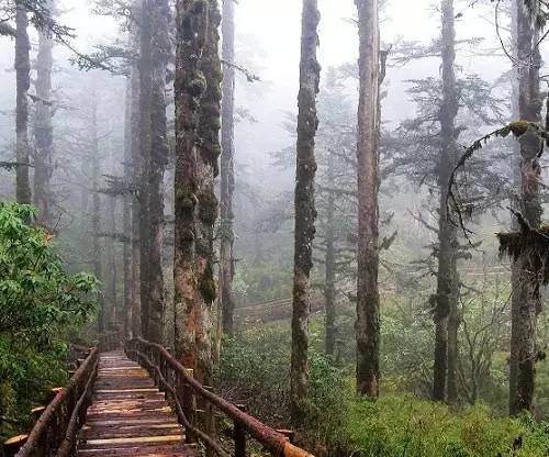 包钢最新动态，自然美景探索之旅，心灵平静之旅启幕