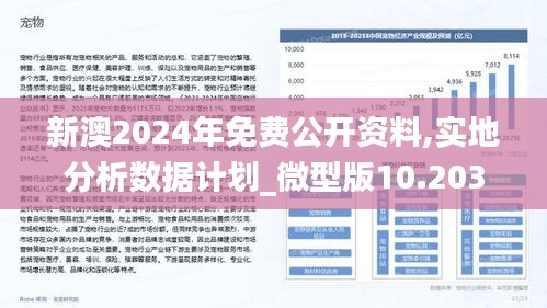 2025新澳精准免费大全,数据导向计划_竞技版57.188