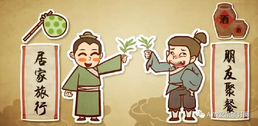 砂仁市场行情深度解析，自然美景背后的旅行探索之旅