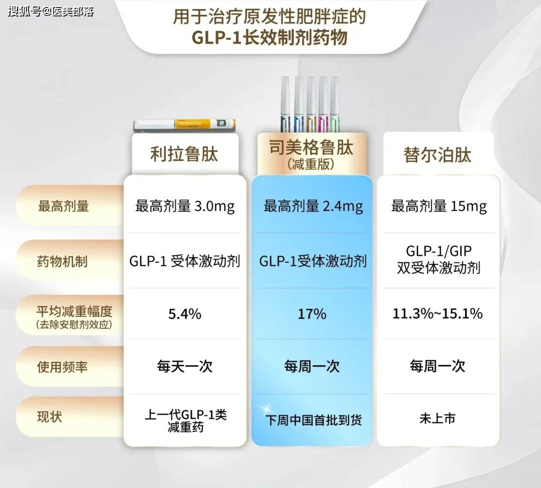 司美格鲁肽片7mg 10片价格详解，查询与购买指南（初学者与进阶用户适用）