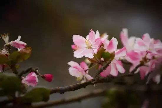 大赢物联 第2页