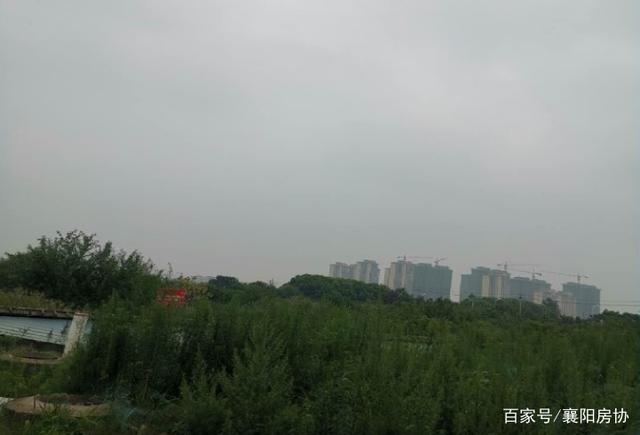 湖北襄阳樊西最新新闻热点概述，观点论述与深度报道