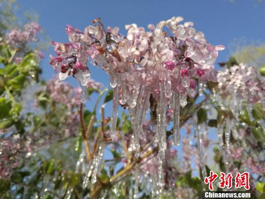 丁香五月最新，小巷深处的独特风味探索