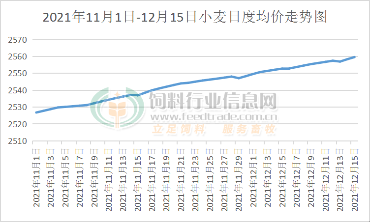 小麦今日最新价格查询，市场走势分析与预测