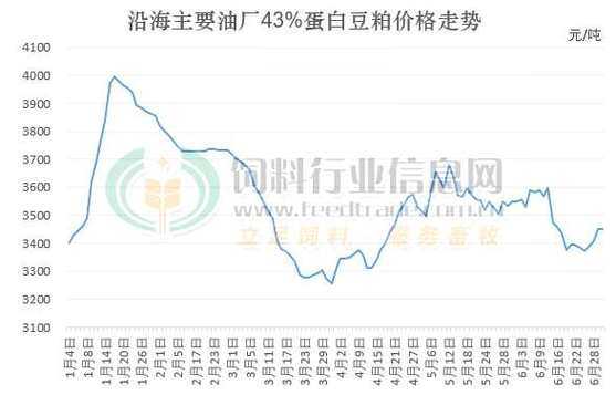 豆粕最新价格，友情与家庭的温馨探秘之旅