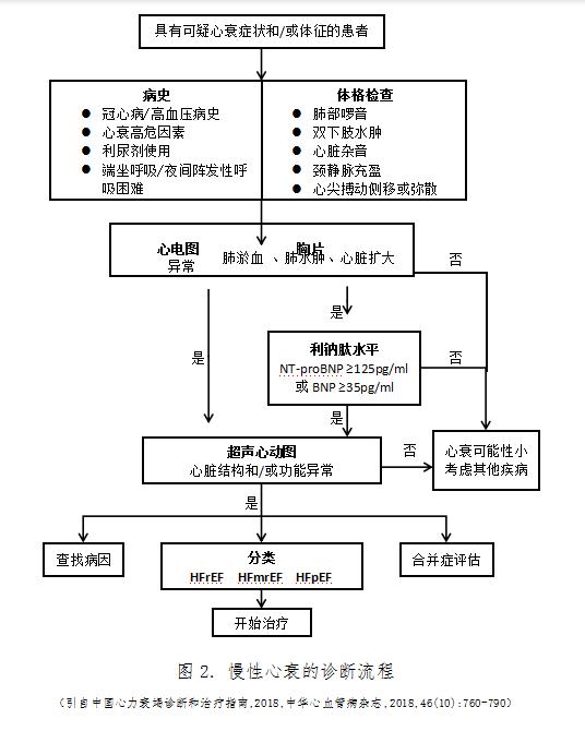 高血压最新分级标准，自然美景探寻之旅中的健康指南