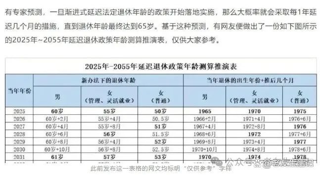 退休新政下的美食秘境探索，巷弄深处的味觉之旅