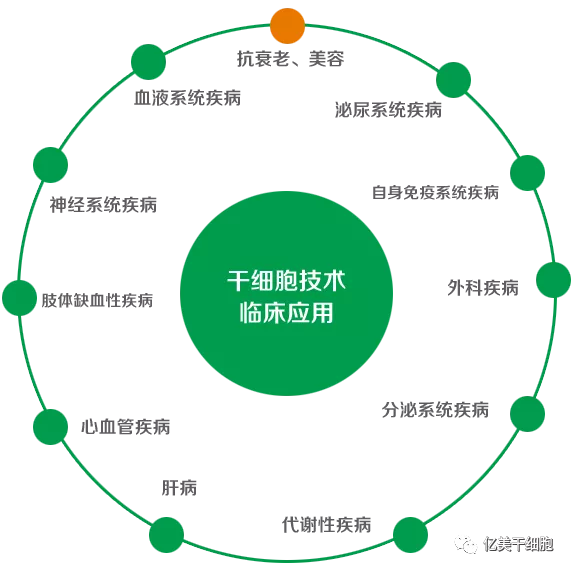 干细胞最新临床进展，自然美景与内心平静的探寻之旅