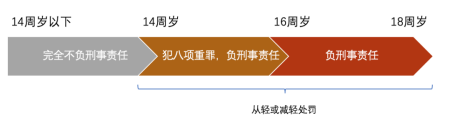 最新刑事责任年龄智能监管系统，科技守护青春防线，重塑未来安全防线