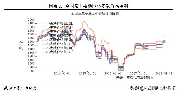 小麦最新行情价格走势分析/动态报告及趋势预测