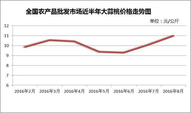 国际大蒜最新价格揭秘，小巷深处的蒜香宝藏探索