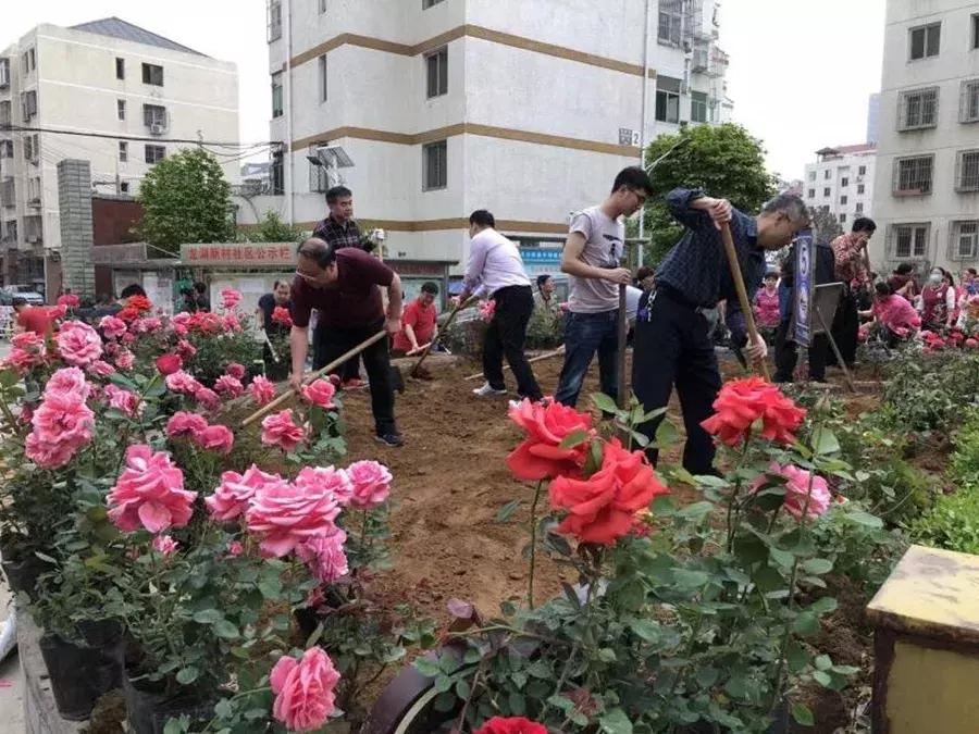 女职工卫生费最新标准与指南解析