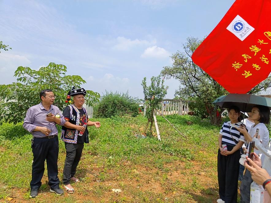 红河机场最新消息揭秘，实用指南助你轻松获取最新机场信息