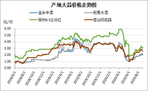 大蒜价格最新行情走势详解，如何获取与分析信息及预测未来趋势