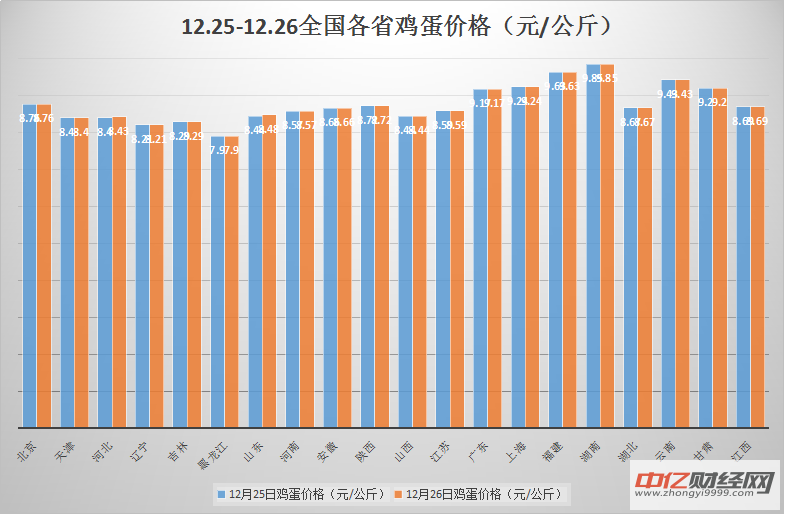 鸡蛋期货最新行情深度解析，市场走势与市场动态关注焦点