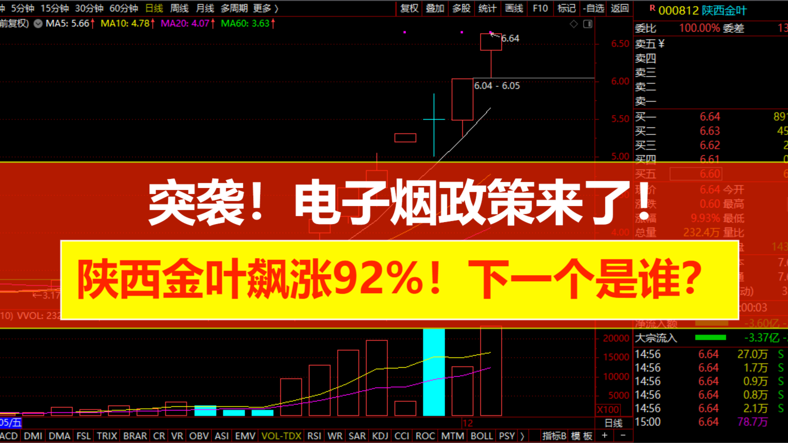 陕西金叶最新消息详解，获取指南适用于初学者与进阶用户