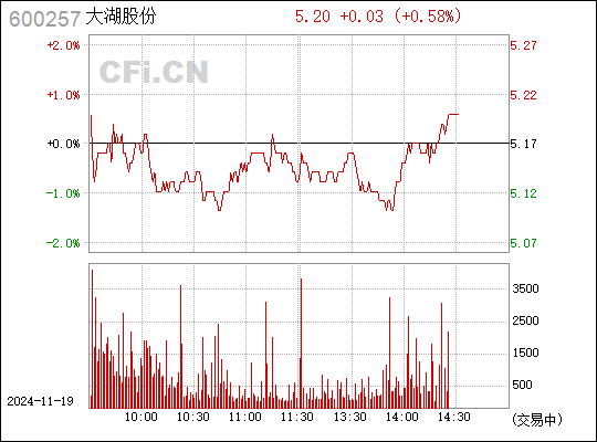 大湖股份最新动态，砥砺前行，铸就行业标杆新典范